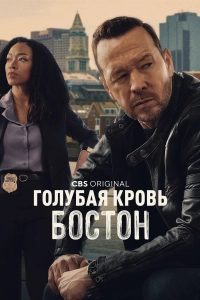 Голубая кровь: Бостон (1 сезон)